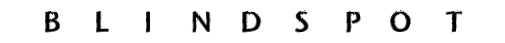 BLINDSPOT_LOGO